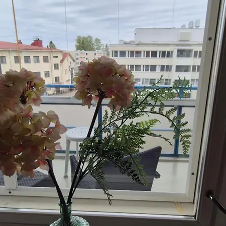 아파트 Spacious 2br Near Olavinlinna Castle 사본린나